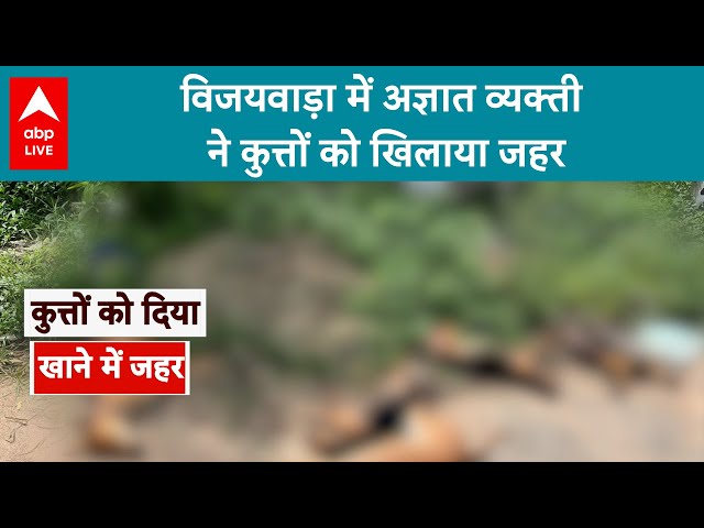 Vijayawada Animal Cruelty: विजयवाड़ा में अज्ञात व्यक्ती ने कुत्तों को खिलाया जहर | ABP LIVE