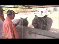 UP CM takes stock of arrangements at Gorakhpur Zoo amid heatwave; feeds animals at zoo | News9  - 04:22 min - News - Video
