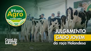 Expoagro Cotricampo 2025 - Julgamento do Gado Jovem da Raça Holandesa