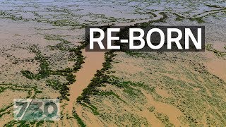 Lake Eyre´s biggest flood in nearly 50 years