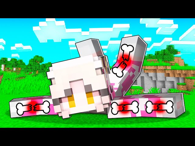 MOMON MENGALAMI PATAH TULANG di MINECRAFT  GARA-GARA… feat @BANGJBLOX
