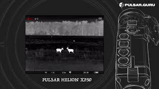 Битва оленей, запись с тепловизора Pulsar Helion XP50 Битва оленей, запись с тепловизора Pulsar Helion XP50