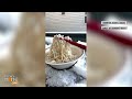 Extreme Cold In Canada Lets Objects Freeze in Midair | News9  - 00:57 min - News - Video