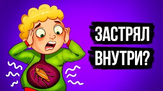 Что делать, если вы проглотили живого таракана?