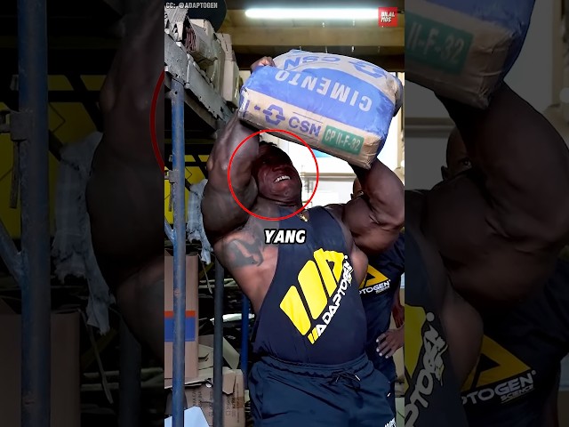 Kuli Vs Bodybuilder