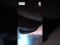 Dog leads officer to leash while being rescued from house fire - 00:45 min - News - Video