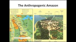 Pre-Columbian urbanism in the Amazon