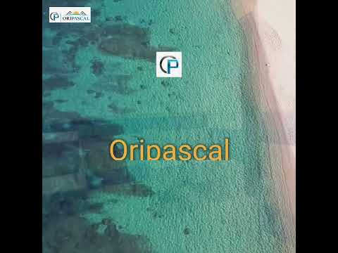 Video realizado por la propiedad