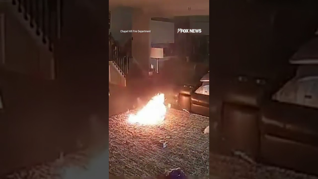 BATTERY BITE: Family pet sparks fire after chewing through a lithium battery #shorts #usa #us