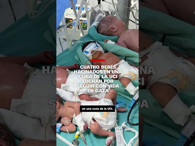 Cuatro bebés hacinados en una cuna de la UCI luchan por seguir con vida en Gaza