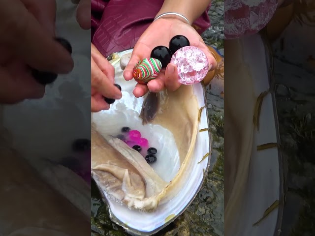 Large pearls with spots appear in the river clam