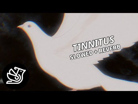 𝙉𝙞𝙣𝙖 𝘾𝙝𝙪𝙗𝙖 - 𝙏𝙞𝙣𝙣𝙞𝙩𝙪𝙨 (𝙨𝙡𝙤𝙬𝙚𝙙 + 𝙧𝙚𝙫𝙚𝙧𝙗)