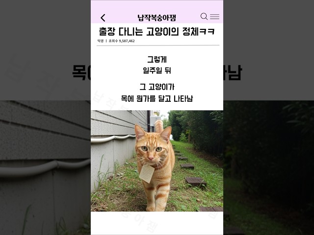출장 다니는 고양이의 정체ㅋㅋ