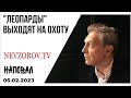 Секта питерских, закрытие YouTube, битый Емельяненко, Наповал 05.02.2023