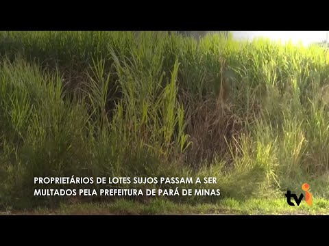 Vídeo: Proprietários de lotes sujos passam a ser multados pela Prefeitura de Pará de Minas