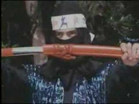 Ninja Strike Force'