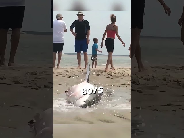 This great white shark was seeking help from tourists 🥹 #shorts