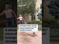 Video shows Colorado attack suspects arrest