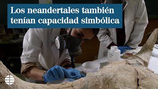 Los neandertales cazaban en Madrid toros de 1.000 kilos y guardaban sus cráneos como trofeo
