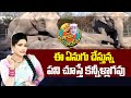 Sitralu Sudaro : ఈ ఏనుగు చేస్తున్న పని చూస్తే కన్నీళ్లాగవు | 99TV