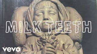 Milk Teeth - Destroyer (Official Video)
