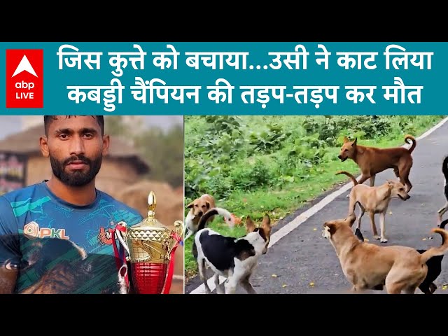 UP News: जिस कुत्ते को बचाया...उसी ने काट लियाकबड्डी चैंपियन की तड़प-तड़प कर मौत | ABPLIVE