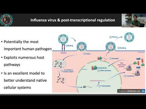 Webinar: Viral RNA Modifications and Implications for Novel Therapeutics