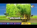 ఖరీఫ్ కందిలో సస్యరక్షణ | Toor Dal Farming In Kharif Season | Matti Manishi | 10TV News - 04:38 min - News - Video