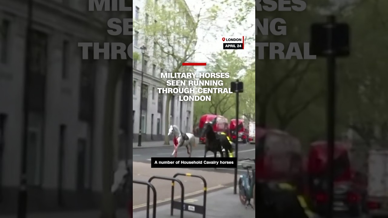 Military horses seen running through central London