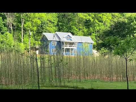 Property video