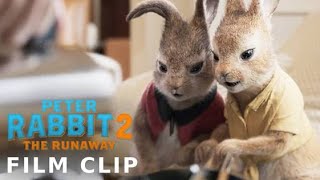 PETER RABBIT 2: THE RUNAWAY Clip