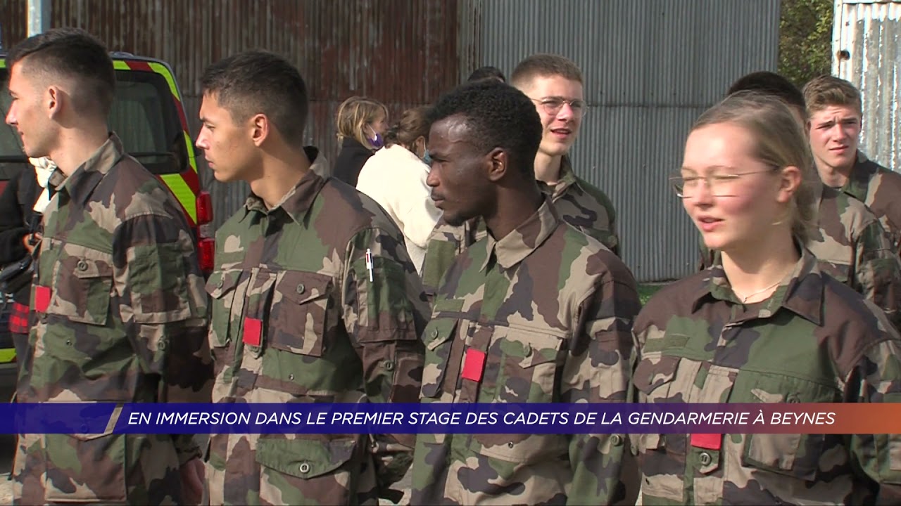 Yvelines | En immersion dans le premier stage des cadets de la gendarmerie à Beynes