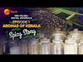 Aromas of Kerala – Story of Spices | ZEE Telugu Social Originals | Experience Kerala