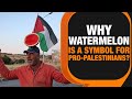 Watermelon a Symbol of Pro-Palestinian Voice |  Practical Alternative or Creative Form of Protest?
