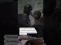 London zoo welcomes newborn gorilla  - 00:36 min - News - Video