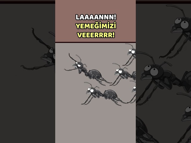 Yerde Yiyecek Görünce