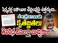 పెన్షనర్ల బకాయిల చెల్లింపుపై ఉత్తర్వులు..చంద్రబాబుకు కృతజ్ఞతలు తెలిపిన టిఎంబి బుచ్చిరాజు | prime9