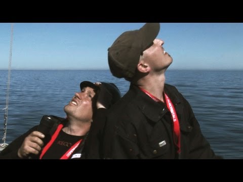 Amateurs in Space'