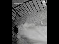 California earthquake stirs slumbering baby