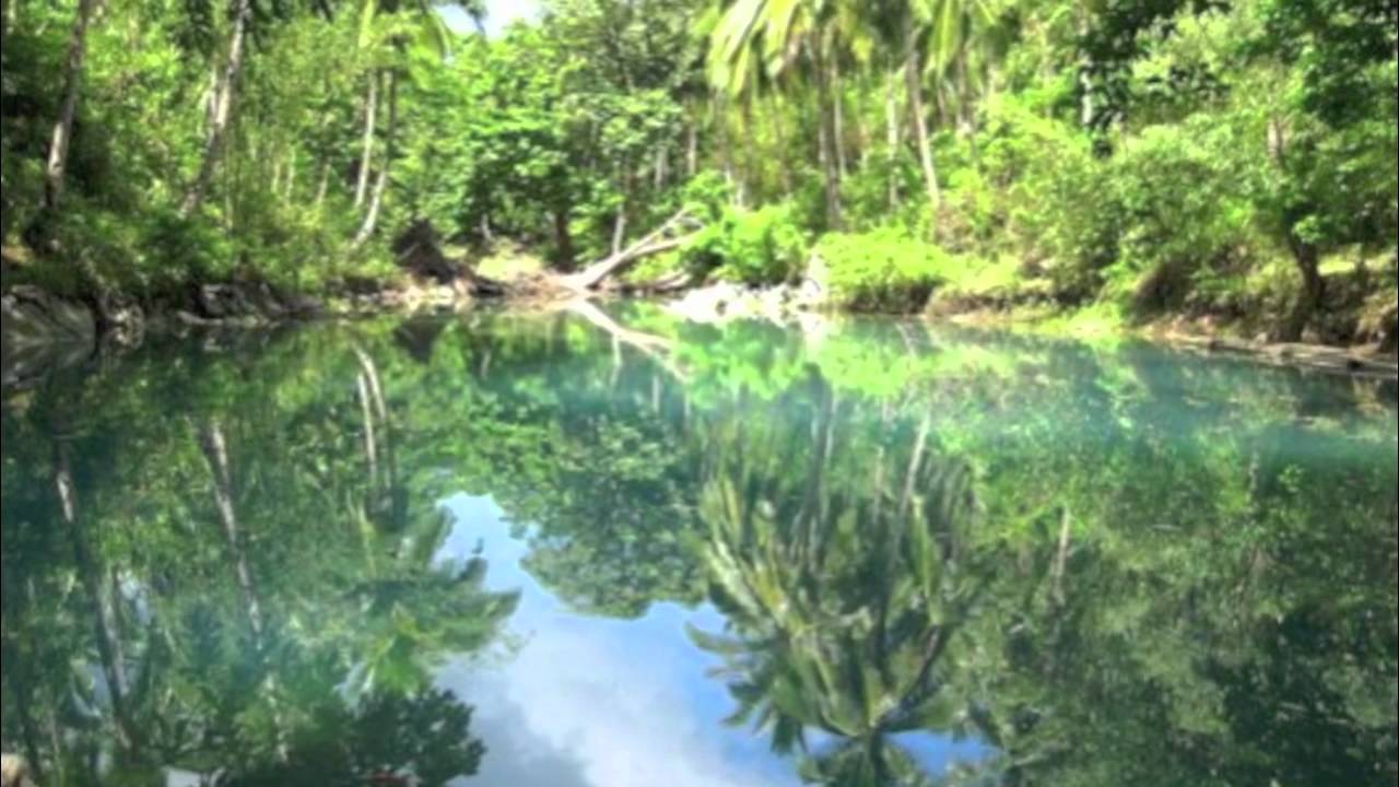 Tropical Rainforest Biome Project - YouTube
