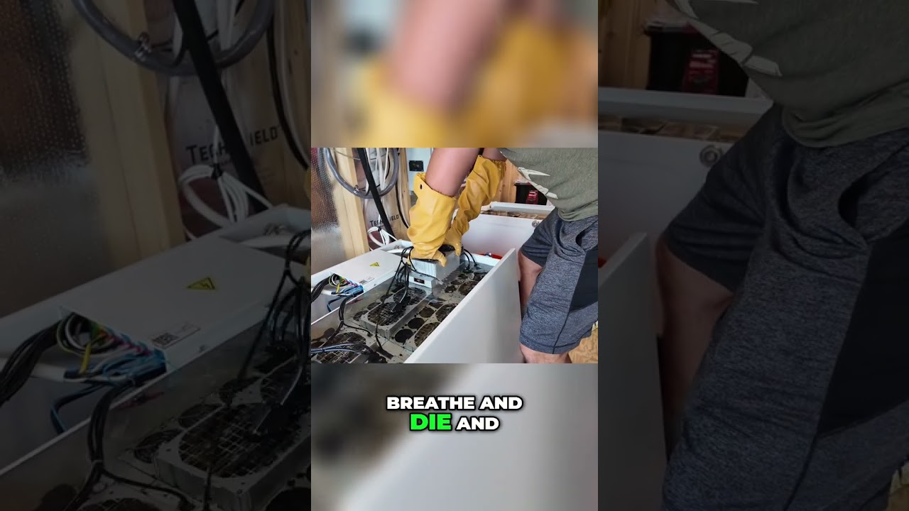 Crypto's Ugly Truth: Banks & Scams vs. Bitcoin's Rising Star shorts