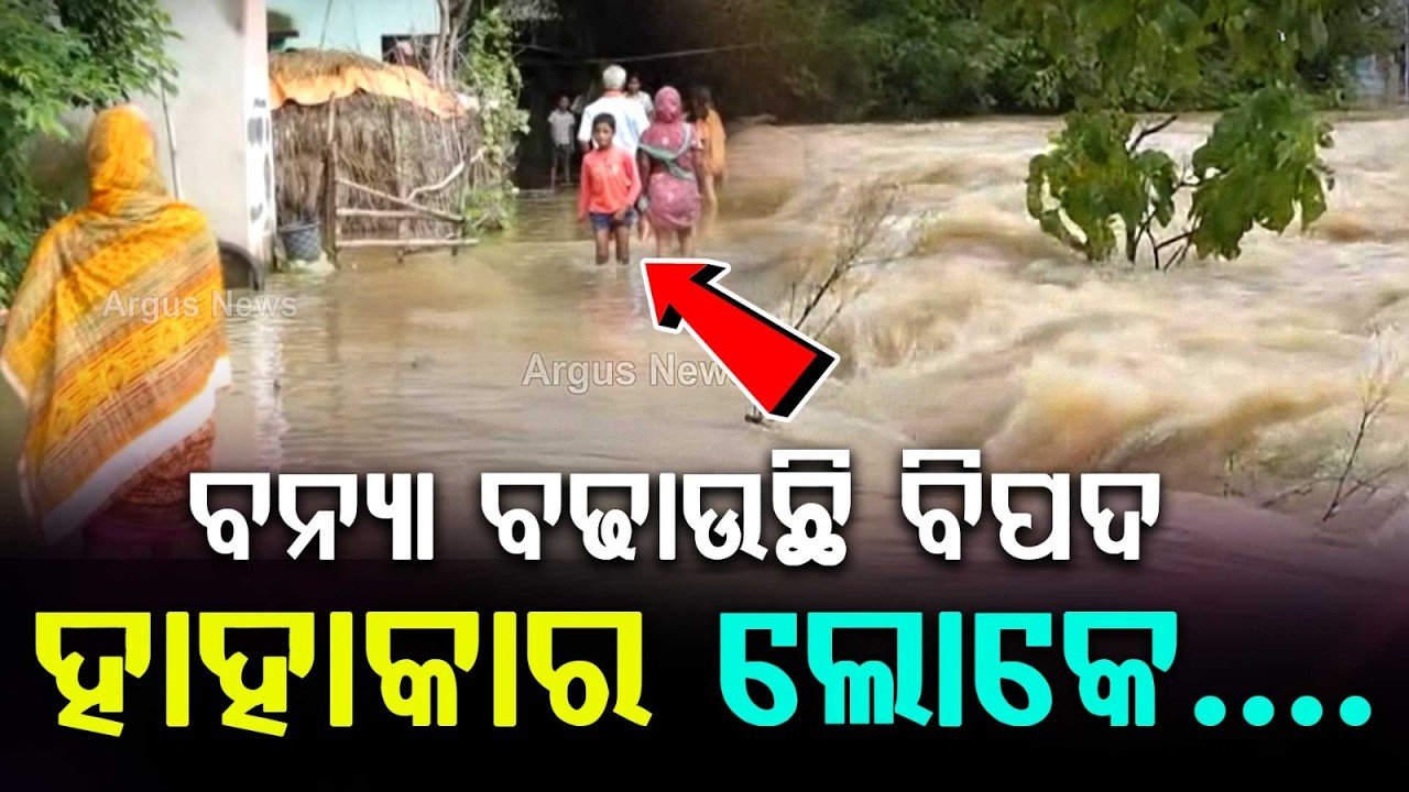 Back-To-Back Floods Devastate Odisha: Over 5 Lakh Affected, Rivers Spilling | Argus News