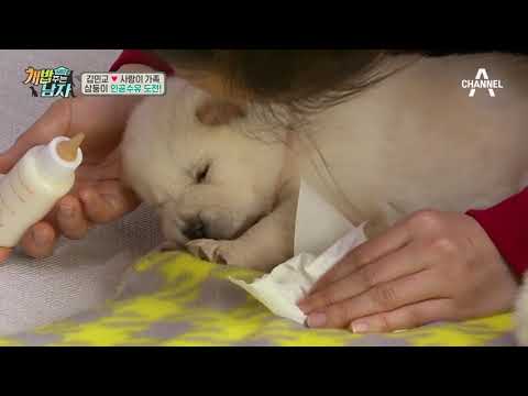 삼둥이 첫 '인공수유' 도전! '밥보다 잠이에요..ZZ' | 개밥주는남자