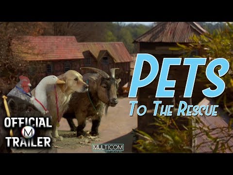 Pets'
