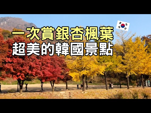 聞慶鳥嶺片廠，帶你回到朝鮮時代 - 太咪瘋韓國