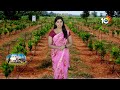 Fertilizers Through Drip System | డ్రిప్ ద్వారా ఎరువులు అందించడంలో మెళకువులు | Matti Manishi | 10TV  - 05:04 min - News - Video