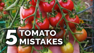 5 Tomato Grow Mistakes To Avoid