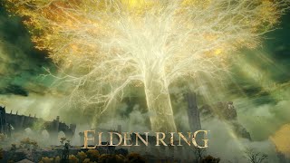 Elden Ring network test set for November