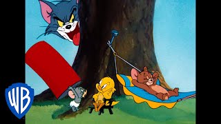 Tom a Jerry - Dobrodružství