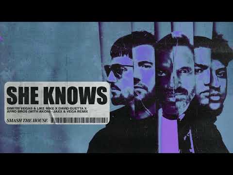 She Knows [with Akon] [Jaxx & Vega Remix] (Visualizer)